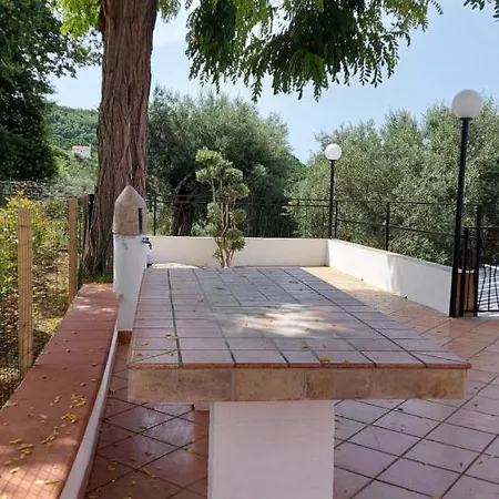 Tenuta Dei Biondi Ulivi * Belvedere Marittimo