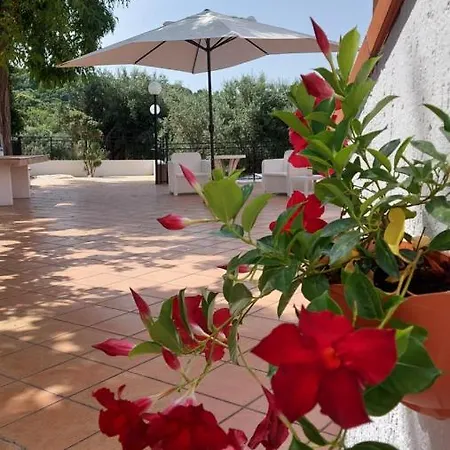 Tenuta Dei Biondi Ulivi